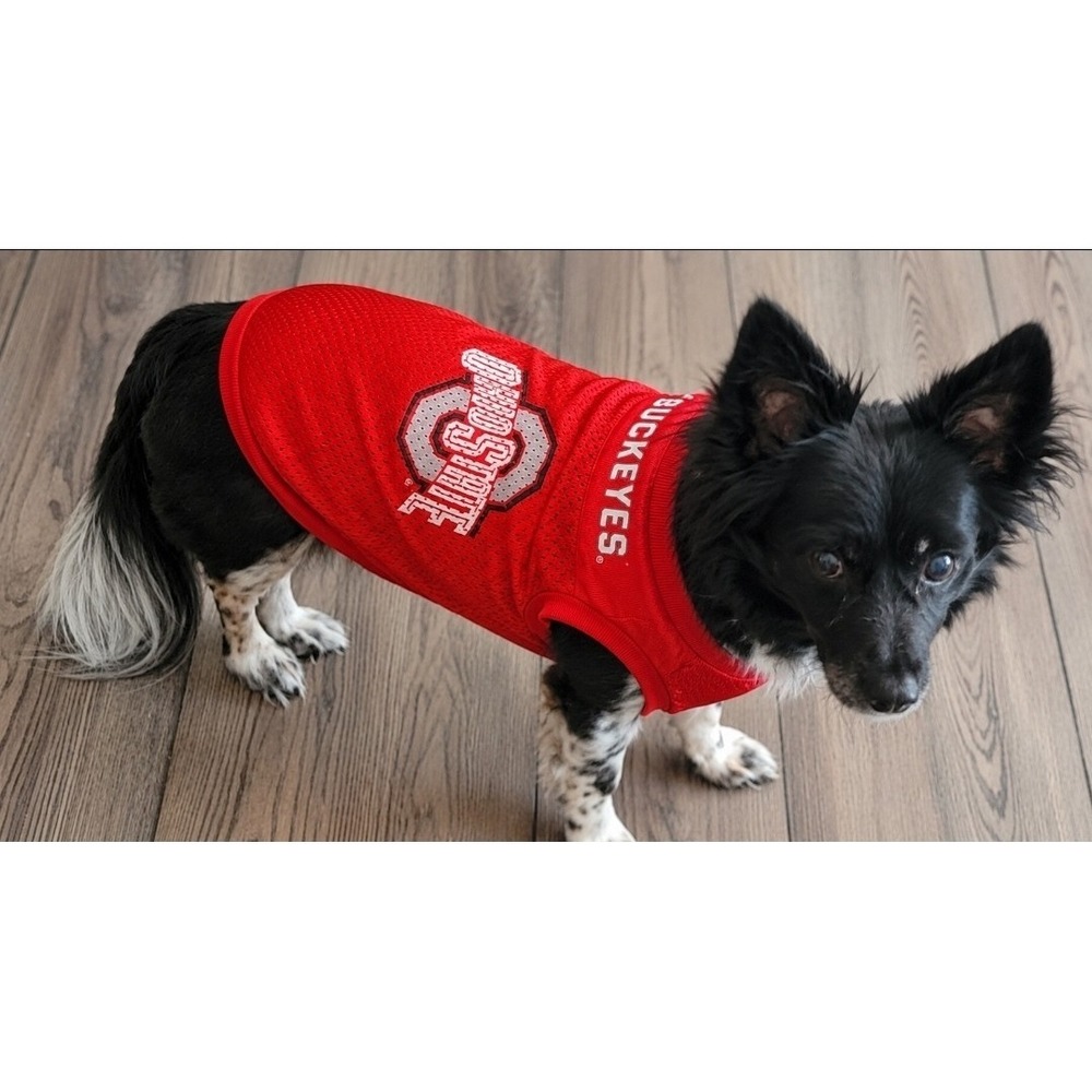 Ohio State Buckeyes Dog Jersey Red Mesh Size Small NCAA Collegiate Pet Shirt